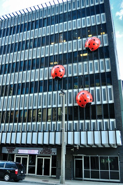 326 Milwaukee 618 Water St Lady Birds.jpg
